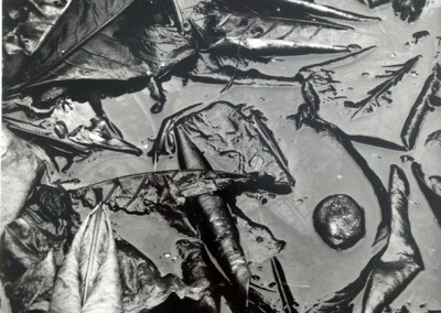 No.38-see+ gallery-Mud Leave-Brett Weston-1975